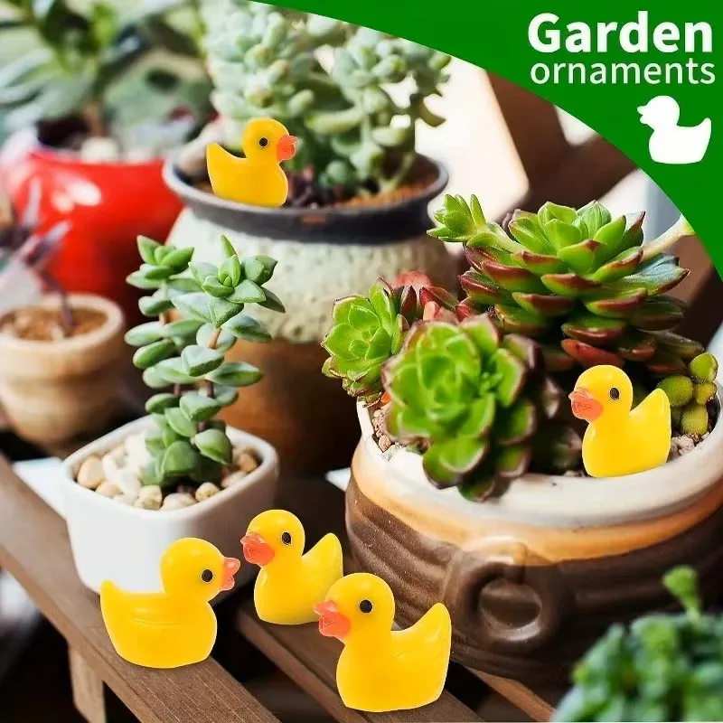Mini-Harz-Enten im Großpack, W – Games Garden Party Bewertung und Preis